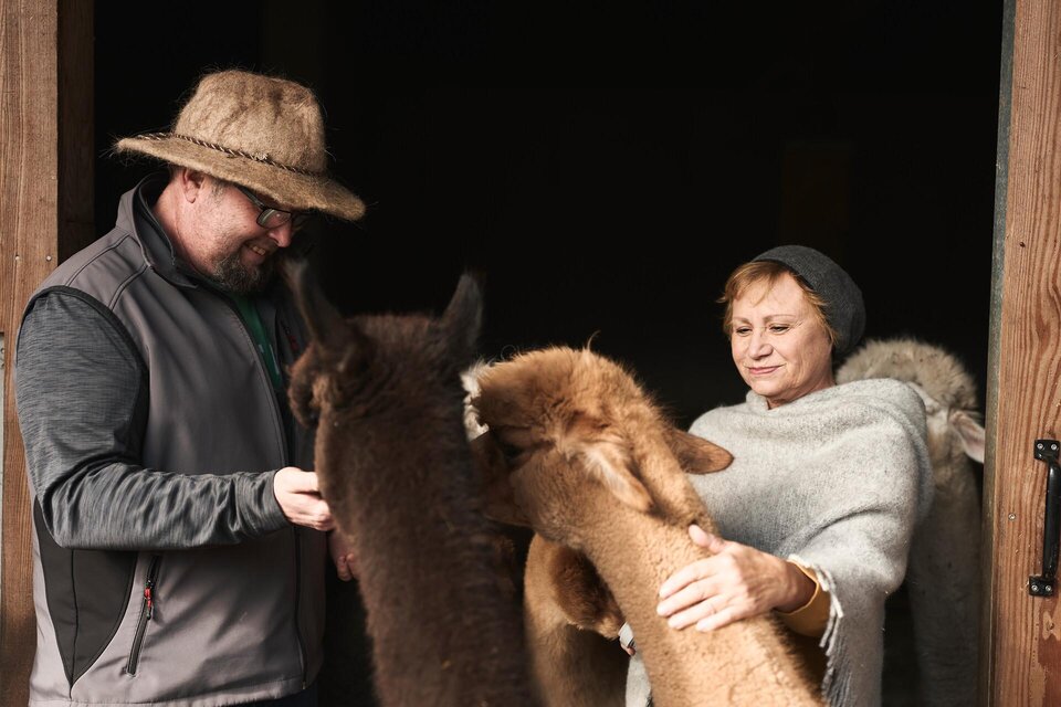 Alpaka Impuls - Impression #1