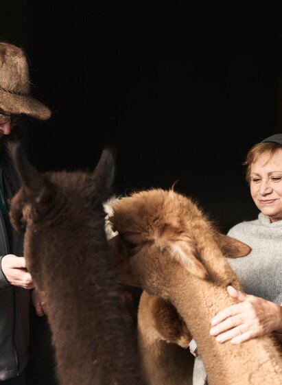 Alpaka Impuls I Hieflau I Gesäuse I Steiermark | © Stefan Leitner | Stefan Leitner