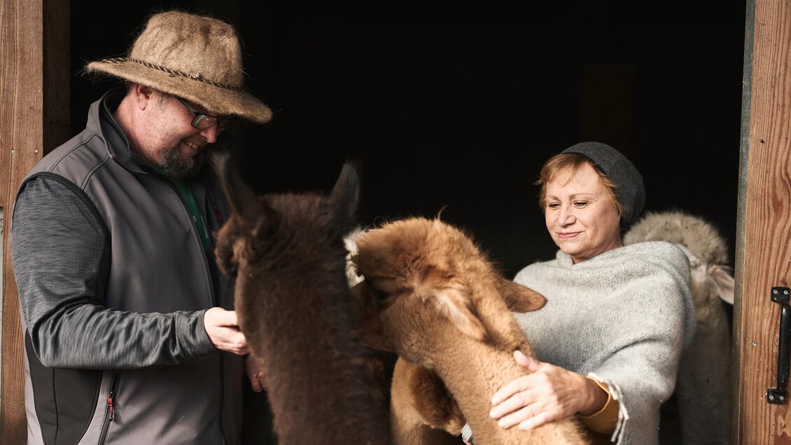 Alpaka Impuls I Hieflau I Gesäuse I Steiermark