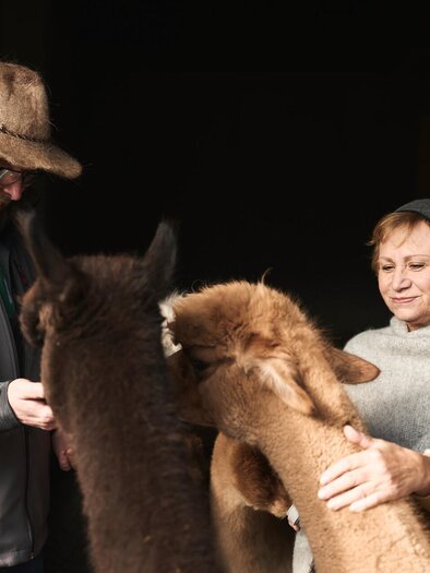 Alpaka Impuls I Hieflau I Gesäuse I Steiermark