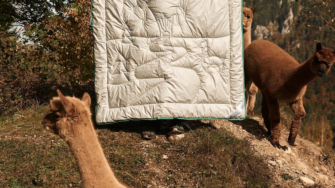 Alpaka Steppdecke im Gesäuse Design I Steiermark