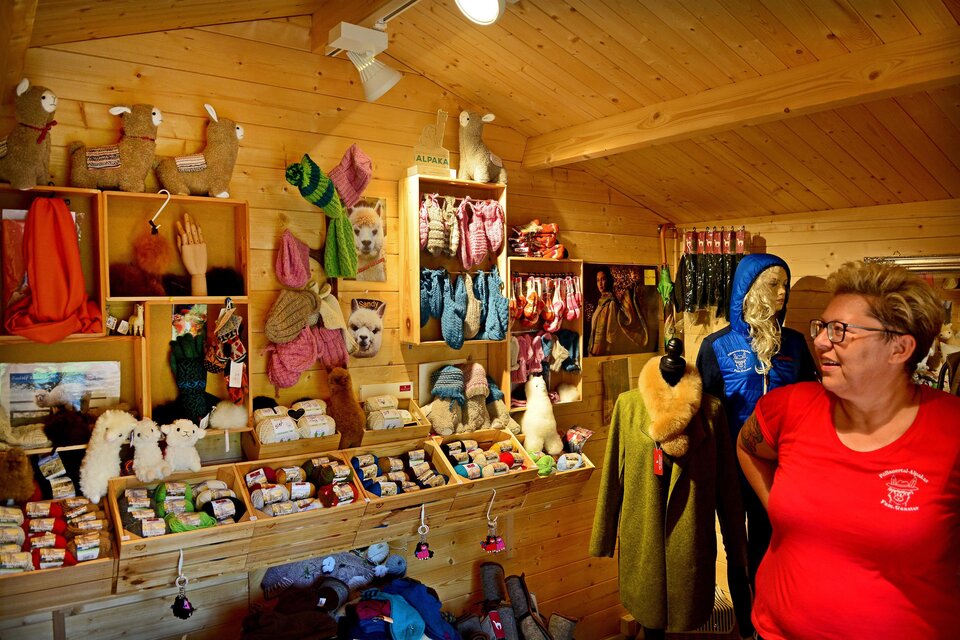 Alpaka-Hofladen Ganster - Impression #1 | © Strassegger