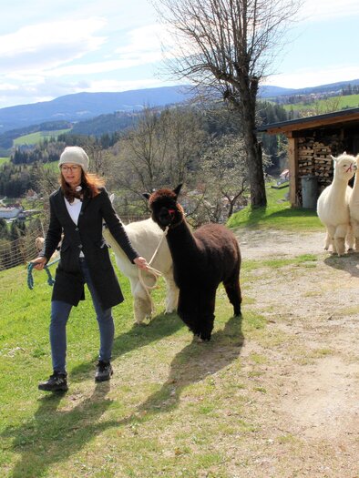 Alpaka Farm Maria Lankowitz | © Robert Cescutti