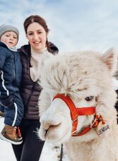 Alpaka Familien Ausflug Südsteiermark | © TV Schilcherland Steiermark | Lupi Spuma | © TV Schilcherland Steiermark