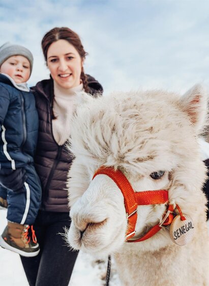 Alpaka Familien Ausflug Südsteiermark | Lupi Spuma | © TV Schilcherland Steiermark