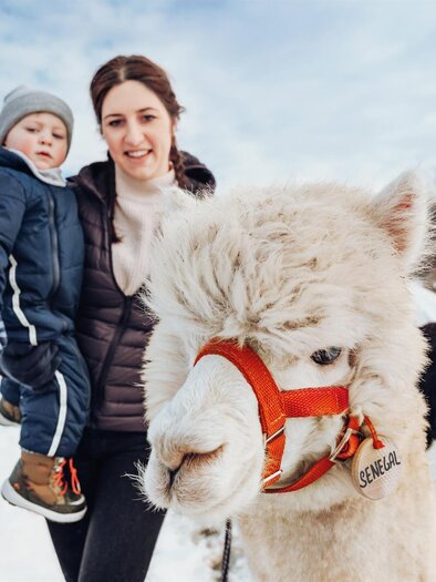 Alpaka Familien Ausflug Südsteiermark | © TV Schilcherland Steiermark