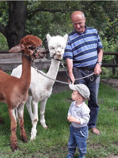 A man stands with two alpacas in a meadow. A small child looks up at them curiously. | © Alpakas Bratschitz