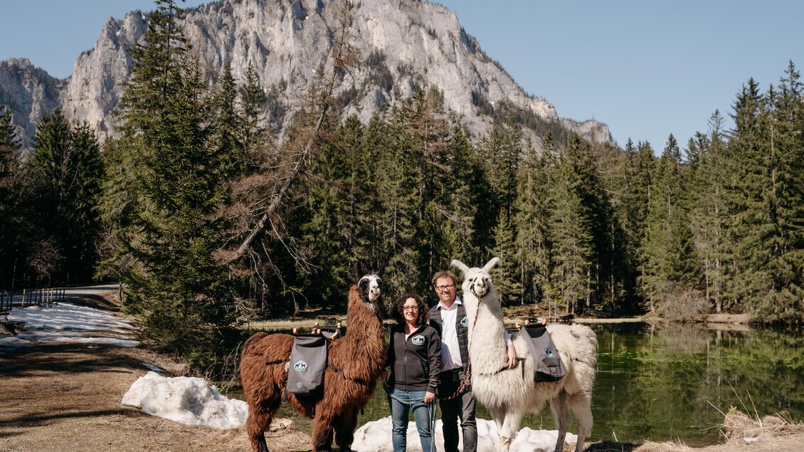Eine Frau und ein Mann stehen mit zwei Lamas in einer Waldlandschaft. Im Hintergrund sind Berge und ein ruhiger See sichtbar. | © Alpakas, Lamas und Rentiere zum Grünen See