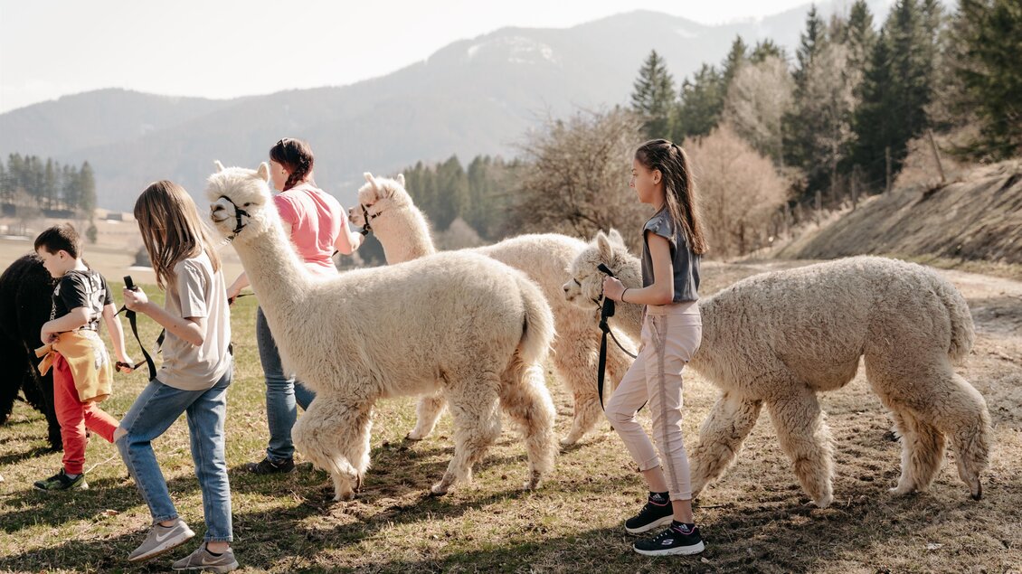 Eine Gruppe von Kindern führt Alpakas auf einer Wiese. Im Hintergrund sind Bäume und Berge sichtbar. | © Alpakas und Lama zum Grünen See