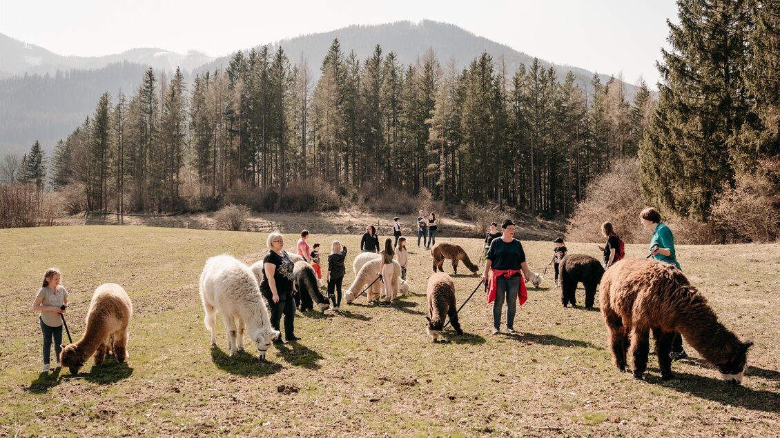 Eine Gruppe von Menschen und Kindern, die auf einer Wiese mit Alpakas steht. Im Hintergrund sind Bäume und Berge zu sehen. | © Alpakas und Lama zum Grünen See
