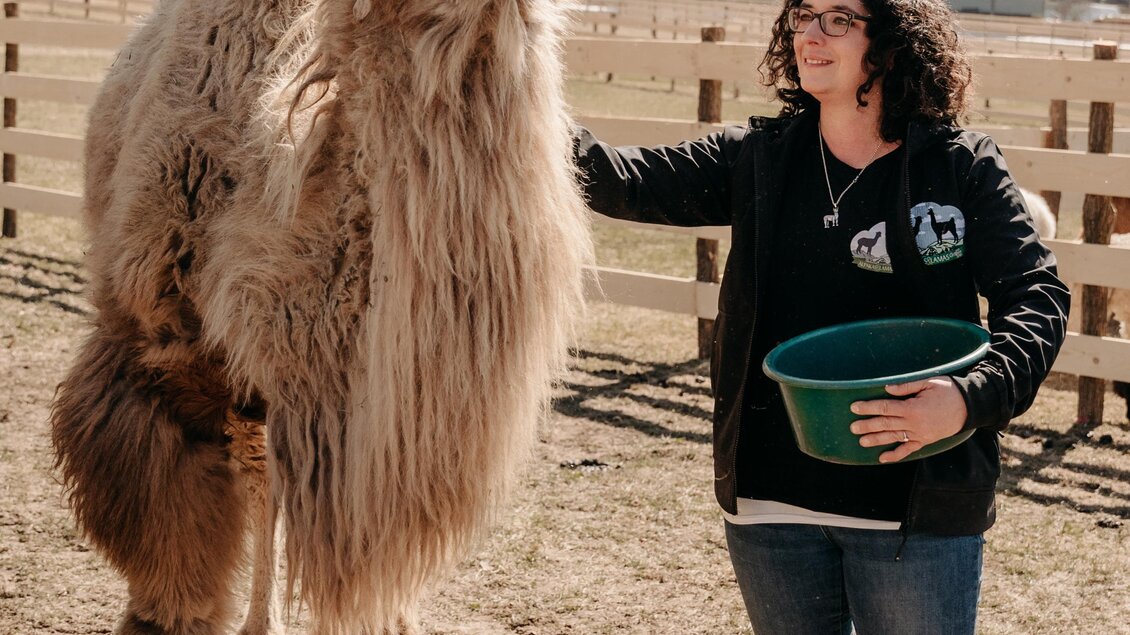 Eine Frau steht neben einem großen, freundlichen Kamel auf einem Bauernhof. Im Hintergrund sind Berge und ein Zaun zu sehen. | © Alpakas und Lama zum Grünen See