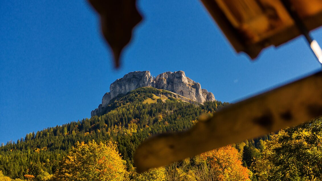 Eine beeindruckende Berglandschaft mit buntem Herbstlaub im Vordergrund. Der klare blaue Himmel hebt den majestätischen Gipfel hervor. | © AlpenStubn