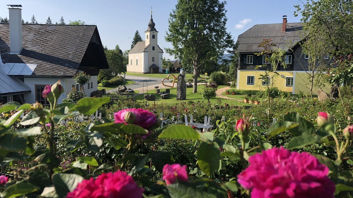 Ein malerisches Dorf mit einer kleinen Kirche im Hintergrund. Im Vordergrund blühen pinke Rosen in einem grünen Garten. | © TV Südsteiermark