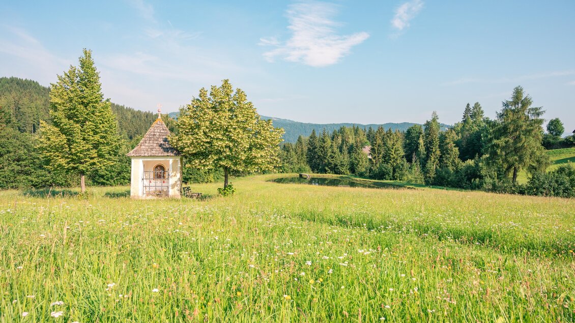 Eine grüne Wiese mit hohen Gräsern und vereinzelten Bäumen. Im Hintergrund steht ein kleiner Pavillon vor einer sanften Hügellandschaft.