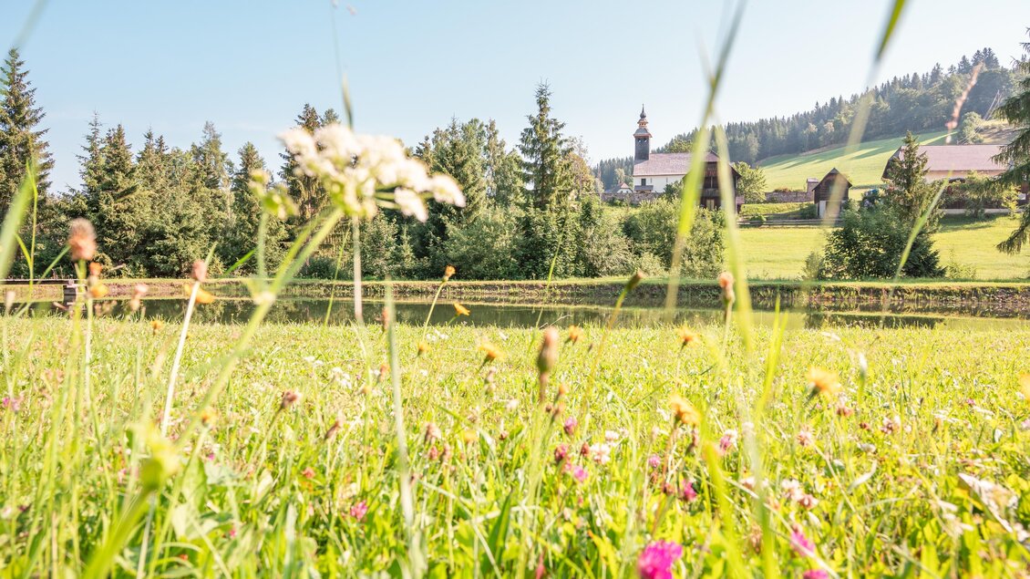Eine grüne Wiese mit bunten Blumen und hohem Gras. Im Hintergrund sind Berge und ein Gebäude zu sehen.