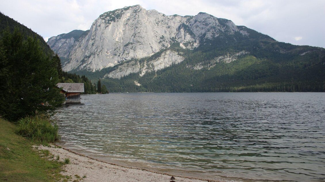 Altausseer See, Altaussee, Trisselwand mit Enten | © Viola Lechner