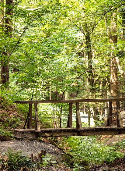 Altenbachklamm | © Symbol | SYMBOL | © SYMBOL