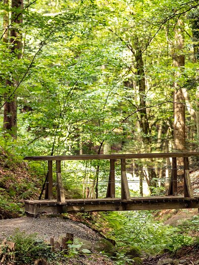 Altenbachklamm | © SYMBOL