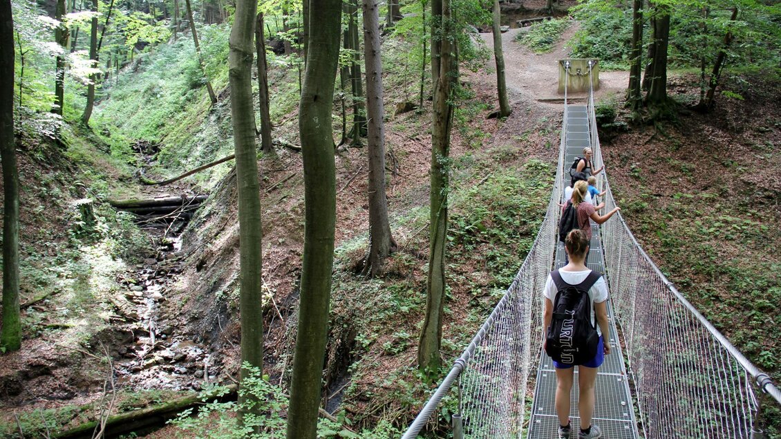 Altenbachklamm Brücke | © Ulrike Elsneg