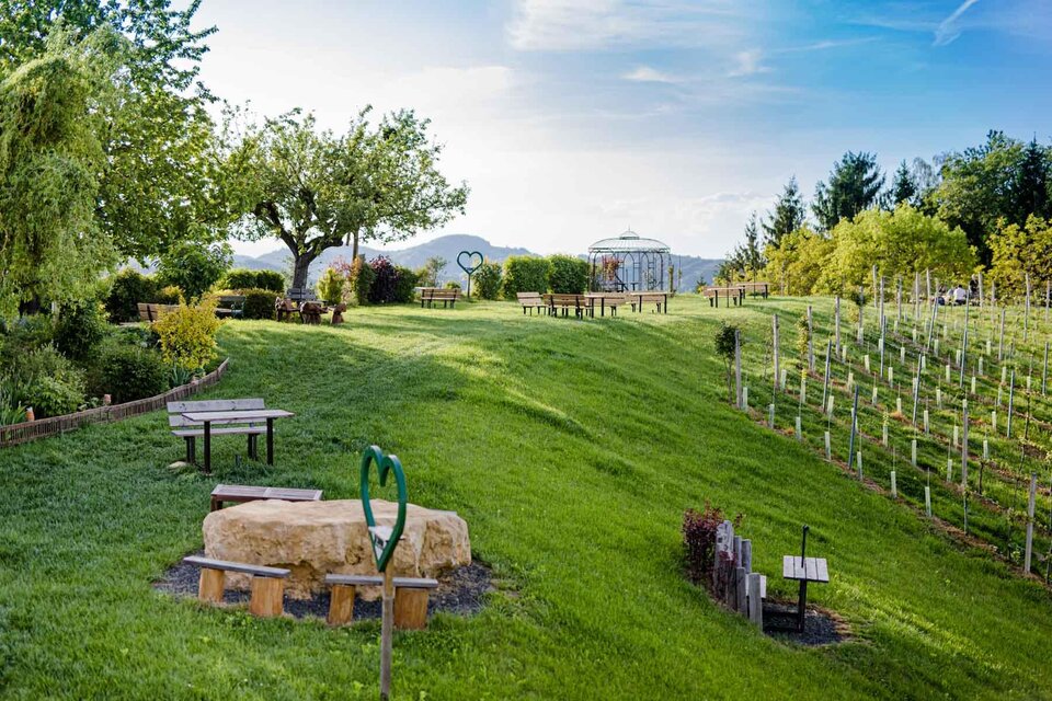 Am Rebkogl - Weingut Tinnauer - Impression #1 | © Weingut Tinnauer / Karin Bergmann