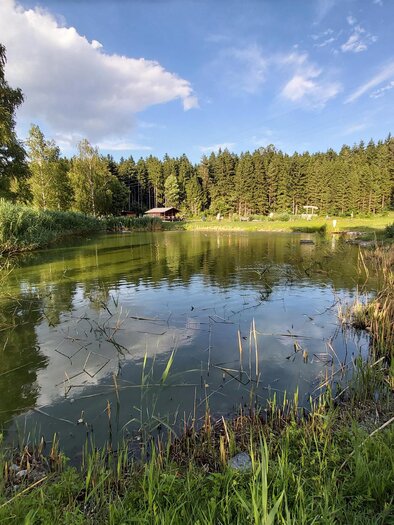 Fischteich Passail_Eastern Styria | © Tourismusverband Oststeiermark