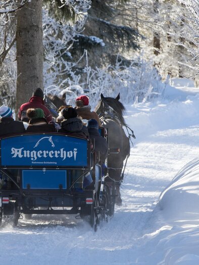 A horse-drawn sleigh ride through a snowy winter landscape. The trees are covered with frost and the path is clear and inviting. | © Martin Huber
