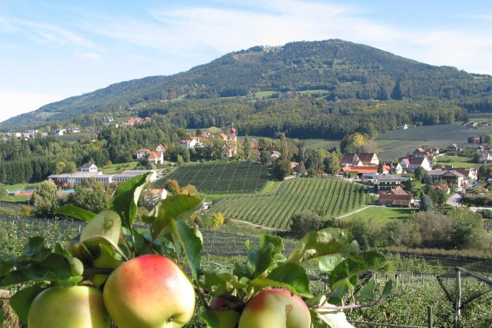 Buchgraber apple farm - Impression #1 | © Tourismusverband Oststeiermark