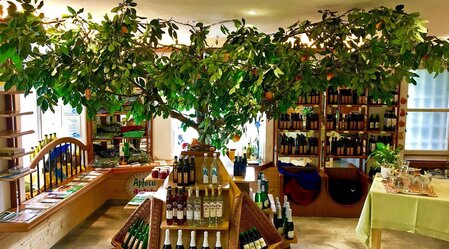 Apfelwelt_Verkaufsraum_Oststeiermark | © Familie Flaggl | © Familie Flaggl