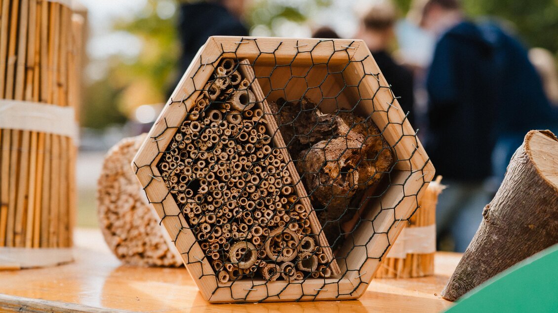 Ein Insektenhotel in Form eines Sechsecks, gefüllt mit verschiedenen Materialien wie Röhren und Holz. Im Hintergrund sind unscharf Menschen zu sehen. | © MotionAds