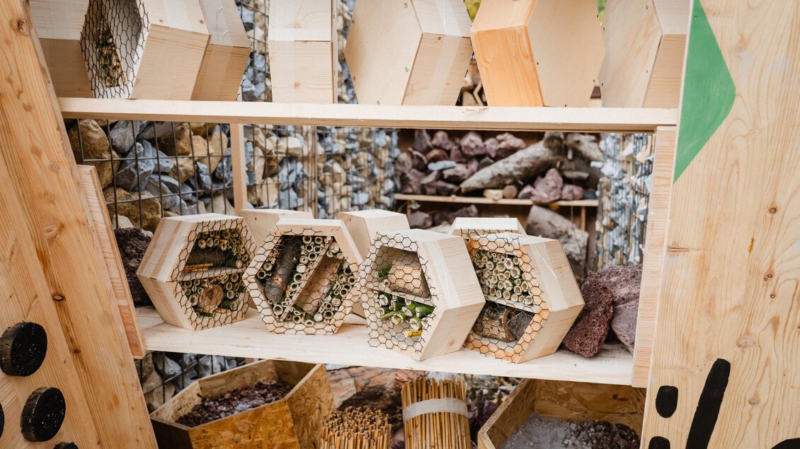 Ein Regal mit Insektenhotels aus Holz. Die Strukturen sind gefüllt mit verschiedenen Naturmaterialien und bieten Lebensraum für Insekten. | © Bee Wild