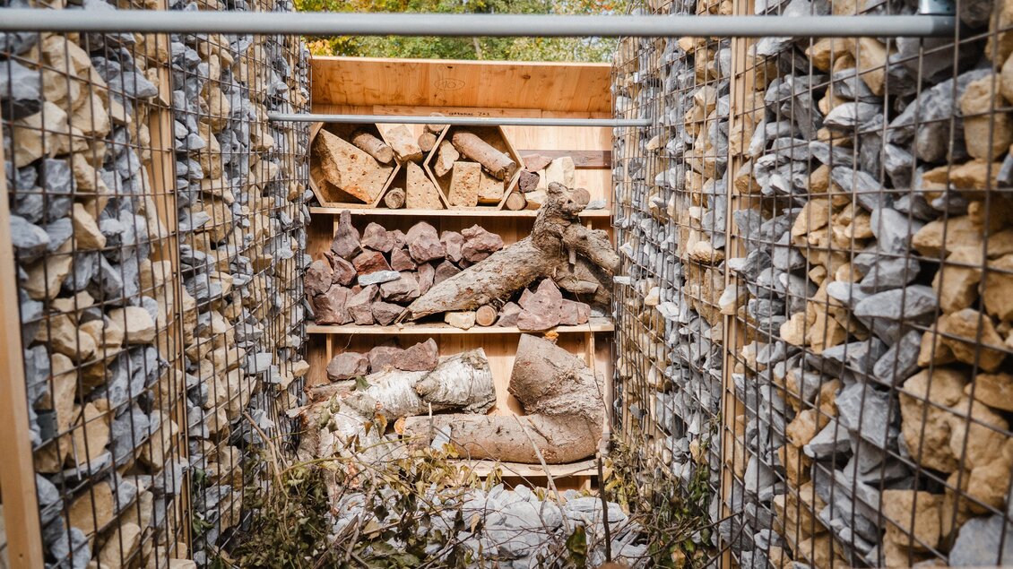 Ein Bereich mit Steinen und Holz, sicher gestapelt zwischen zwei Wänden. Es gibt einige Pflanzen im Vordergrund und die Umgebung sieht natürlich aus. | © Bee Wild