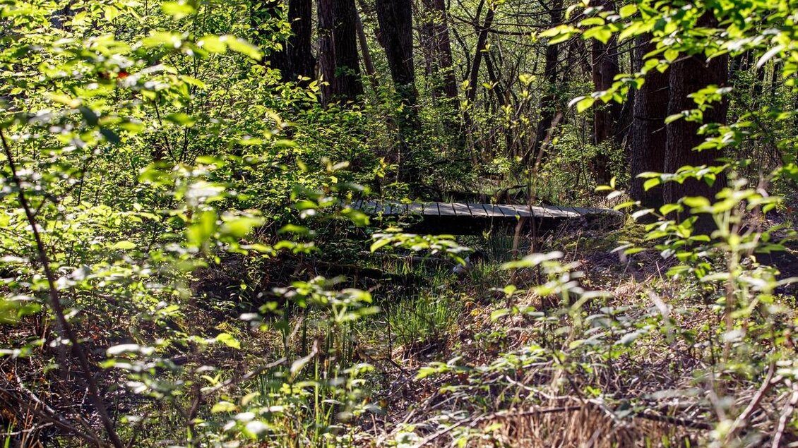 Natur in Straß_Naturpark Südsteiermark | © SYMBOL