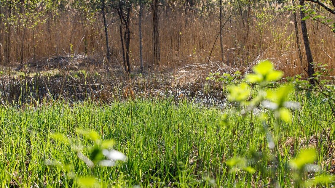 Attemsmoor_Naturpark Südsteiermark | © SYMBOL