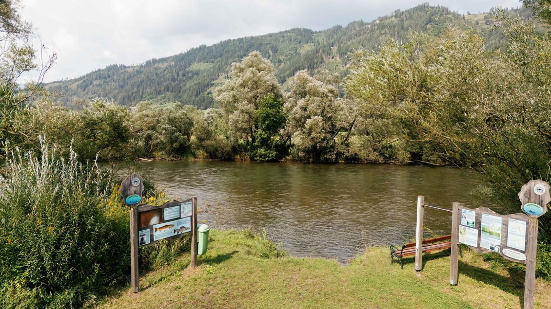 Au_Erlebnisweg-St.Peter-Murtal-Steiermark | © Karl Steinegger
