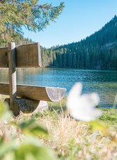 Verweilplatz | © TV Murau | René Hochegger | © Tourismusverband Murau