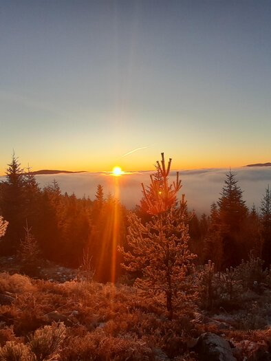 Fischbach_Aussichtsbankl Reithkogel_Oststeiermark | © Eva Reindl