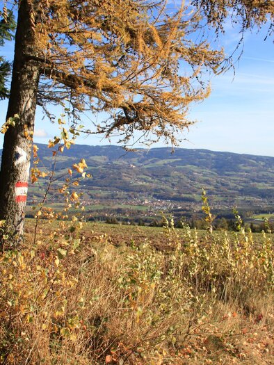 Jochbauerhöhe_Ausblick_Oststeiermark | © Hermann Auerbäck
