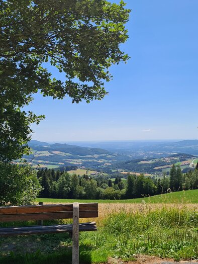Schloffereck_View Point_Eastern Styria