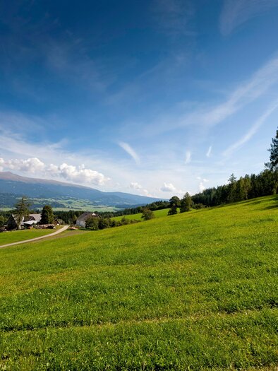 Aussicht | © Holzwelt Murau