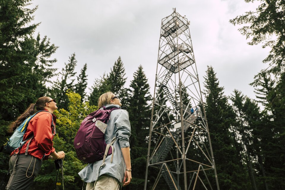 Viewpoint Wildwiese - Impression #1 | © Bernhard Bergmann