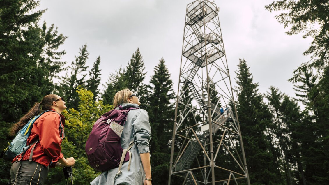 zu sehen sind Wanderer beim Aussichtsturm. | © Bernhard Bergmann