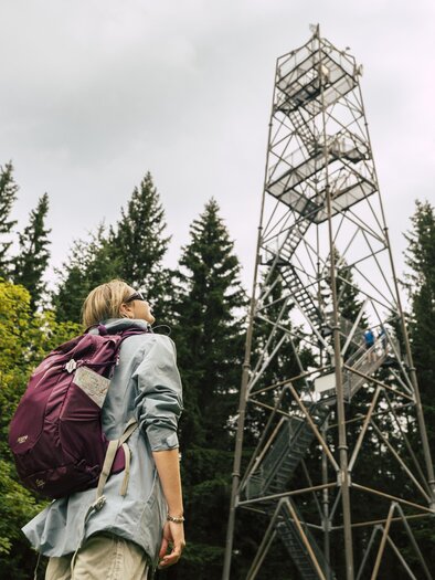 zu sehen sind Wanderer beim Aussichtsturm. | © Bernhard Bergmann