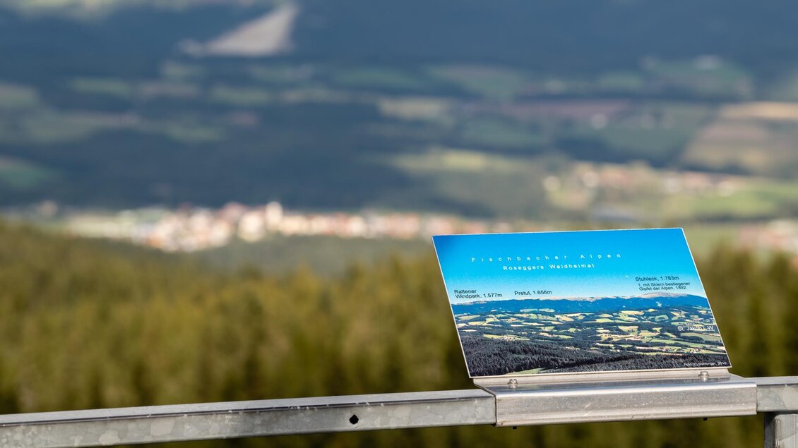 Ein Aussichtspunkt mit einer Tafel, die Informationen über die umliegende Landschaft bietet. Im Hintergrund sind grüne Wälder und sanfte Hügel zu sehen. | © Aussichtswarte Wildwiese
