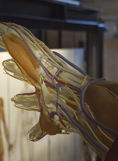 Labyrinth Mensch_Hand_Oststeiermark | Michael Löffler | © Gemeinde Rettenegg