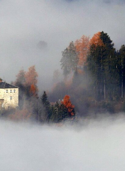 Schloss Fochtenstein | Linda Göglburger | © Christa Fürnkranz