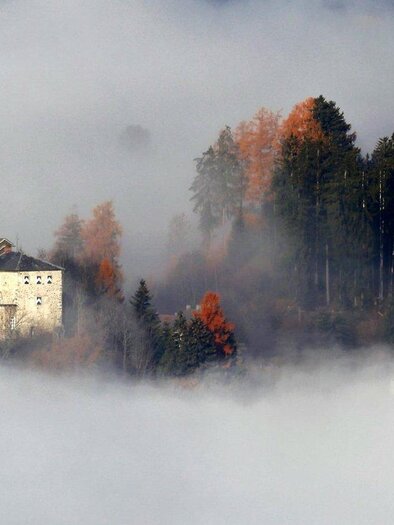 Schloss Fochtenstein | © Christa Fürnkranz