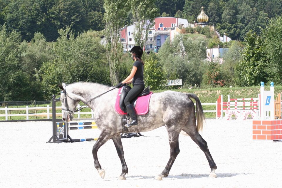 Austrian Star Horses in Bad Blumau - Impression #1 | © Kurkommission Bad Blumau