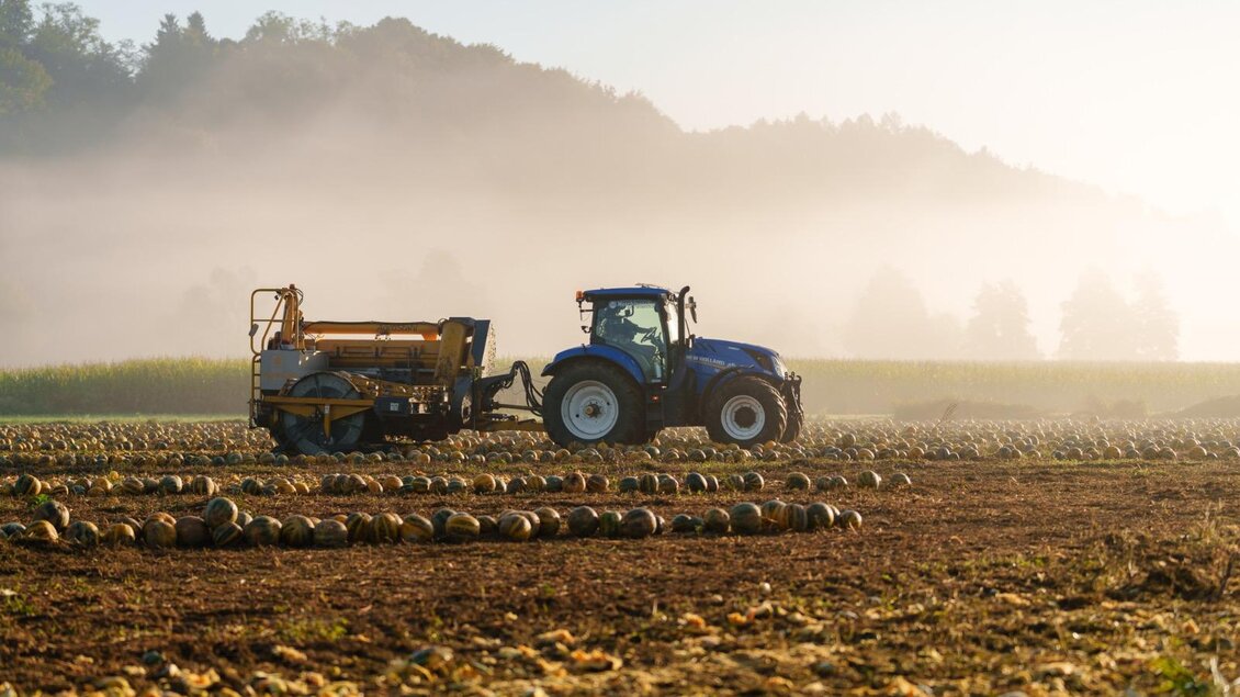 Kürbisernte | © B & B Raritäten