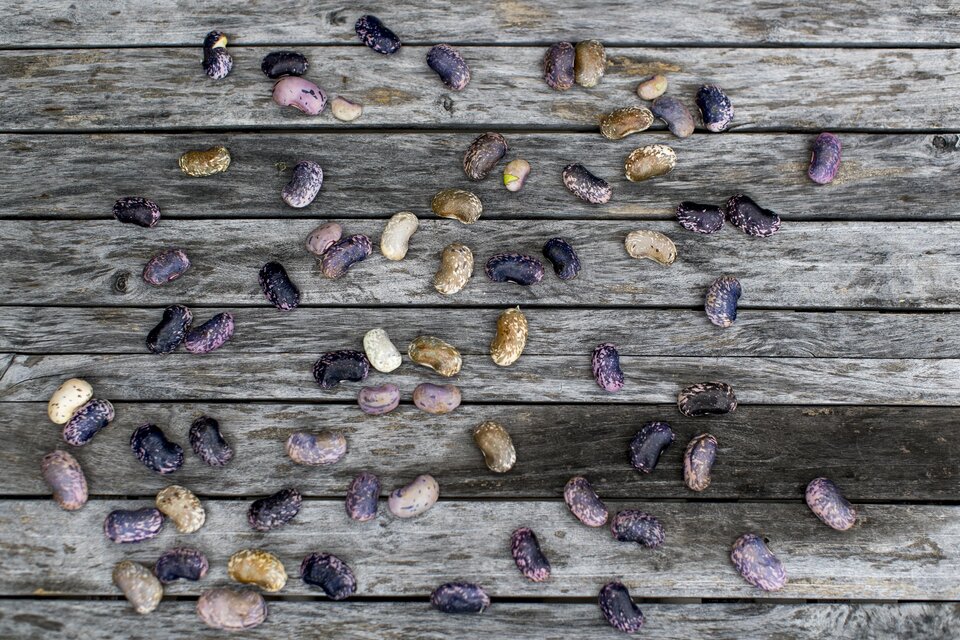 Bäcksteffl - Bauernspezereien & Käferbohnen-Kabinett - Impression #1 | © STG