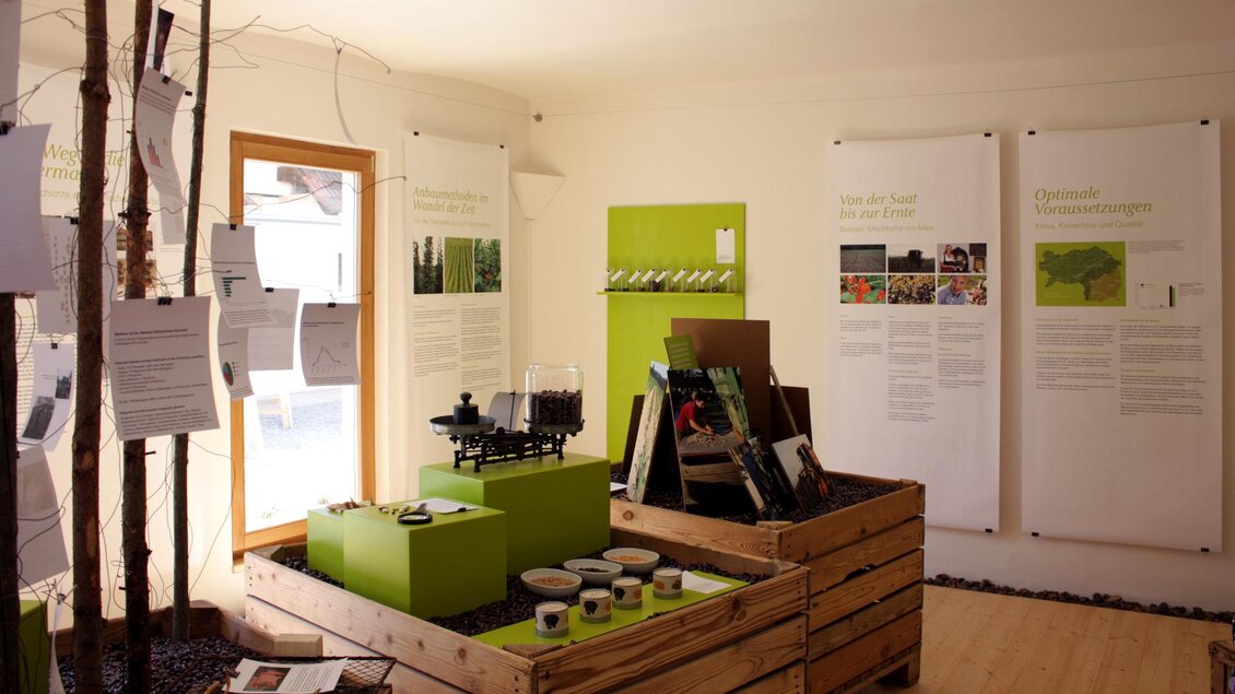 Ein moderner Ausstellungsraum mit hölzernen Kisten und informativen Wandtafeln. Es sind Pflanzenmodelle und Projektinformationen zu sehen. | © Bäcksteffl